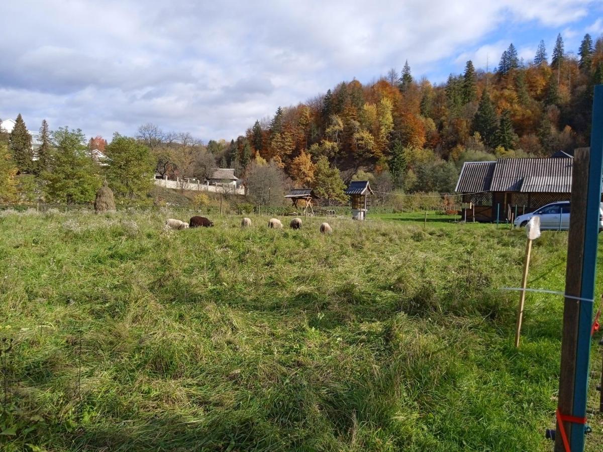 Садиба Федорчуків За Рікою Sheshory Exterior photo