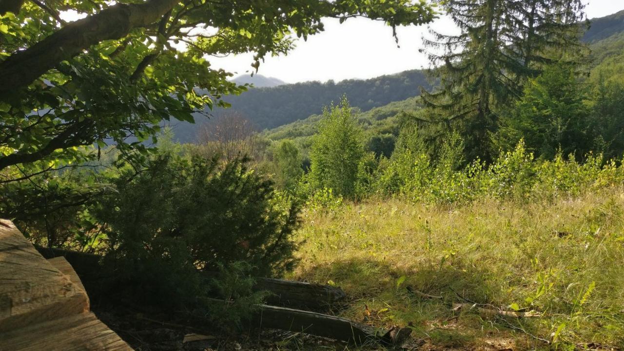 Садиба Федорчуків За Рікою Sheshory Exterior photo