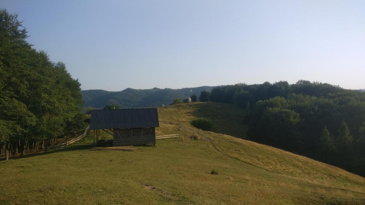 Садиба Федорчуків За Рікою Sheshory Exterior photo